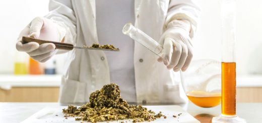 Cacao in provetta e carne 3D: la Svizzera guida la rivoluzione alimentare