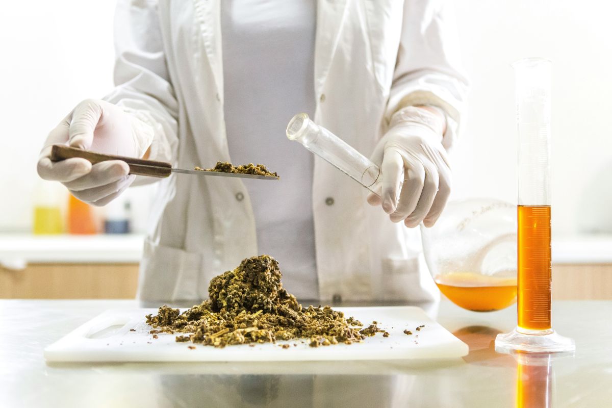 Cacao in provetta e carne 3D: la Svizzera guida la rivoluzione alimentare