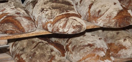 Pane con lievito madre: scoperta la sua “firma molecolare” unica