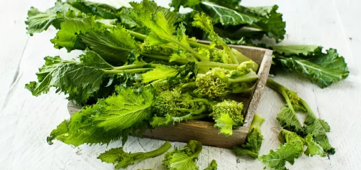 Allerta alimentare Ferragosto 2025: richiamo di decine di prodotti tra friarielli, formaggi, pesce e bevande