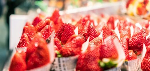 Fragole tutto l’anno: dalla ricerca agricola al gusto che cambia