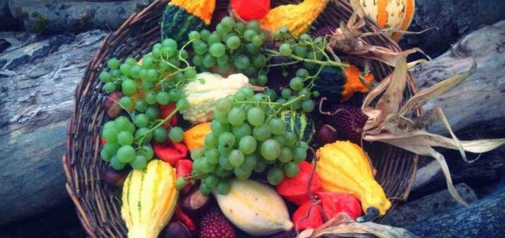 La verdura di settembre da non perdere: fibre e vitamina A a volontà!