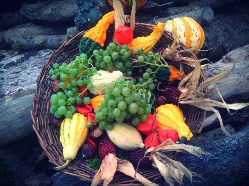 La verdura di settembre da non perdere: fibre e vitamina A a volontà!