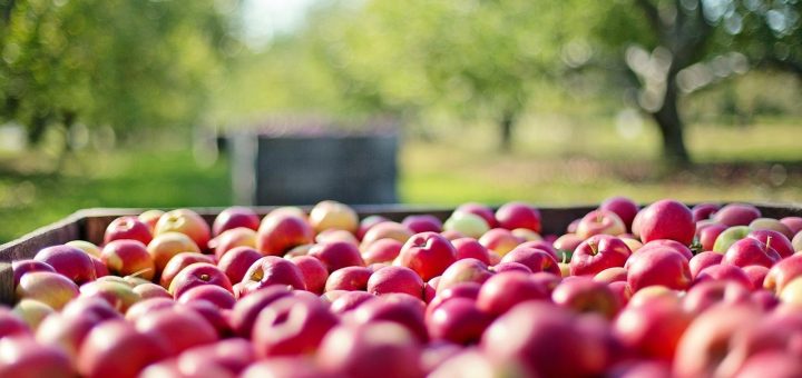 Mele sempre più preziose per la salute: un alleato naturale contro diabete e tumori