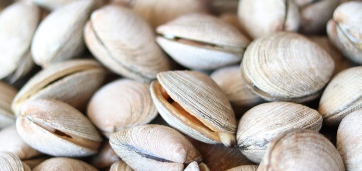 Conad richiama un lotto di vongole surgelate: tracce di glutine segnalate dal Ministero della Salute