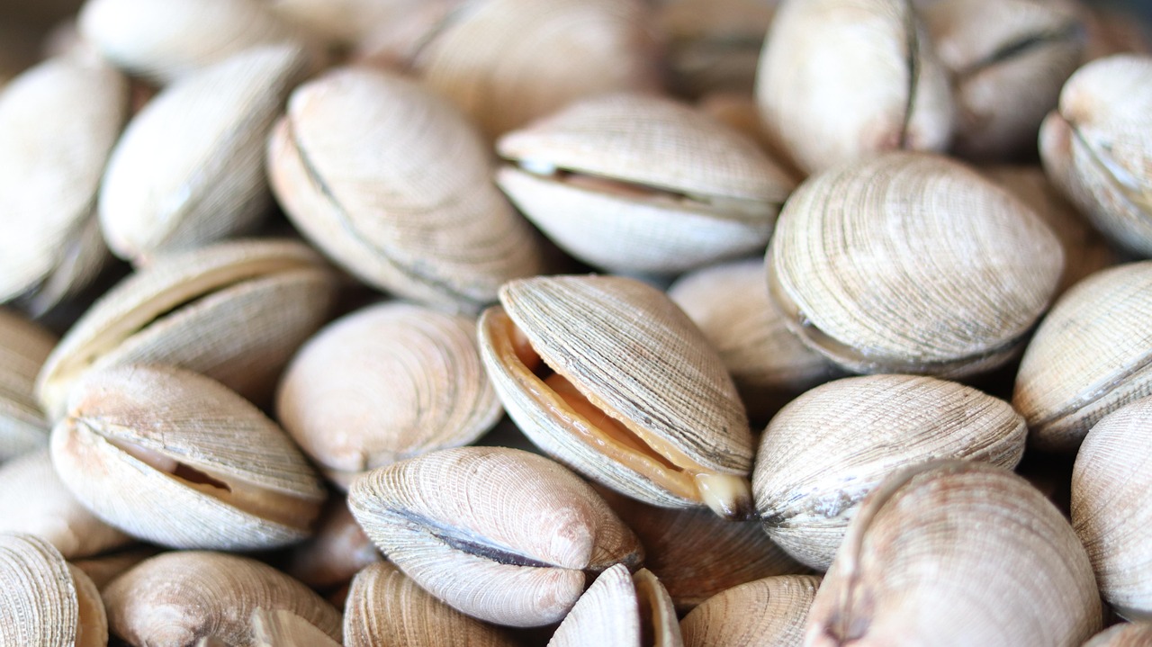 Conad richiama un lotto di vongole surgelate: tracce di glutine segnalate dal Ministero della Salute