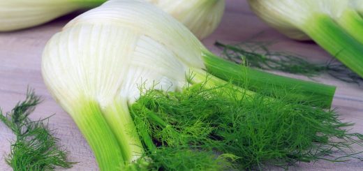 Il finocchio sazia e depura: addio gonfiore e ritenzione