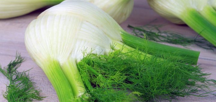 Il finocchio sazia e depura: addio gonfiore e ritenzione