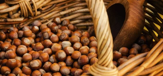Nocciole italiane a rischio: raccolti crollati fino al 60% tra Piemonte, Lazio e Campania