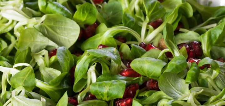 Come usare il songino in cucina/ l’insalata che fa bene